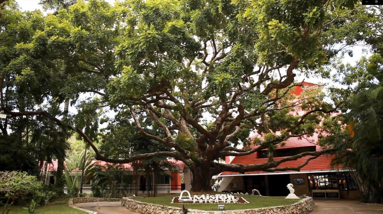 Mision Palenque Hotel Exterior foto