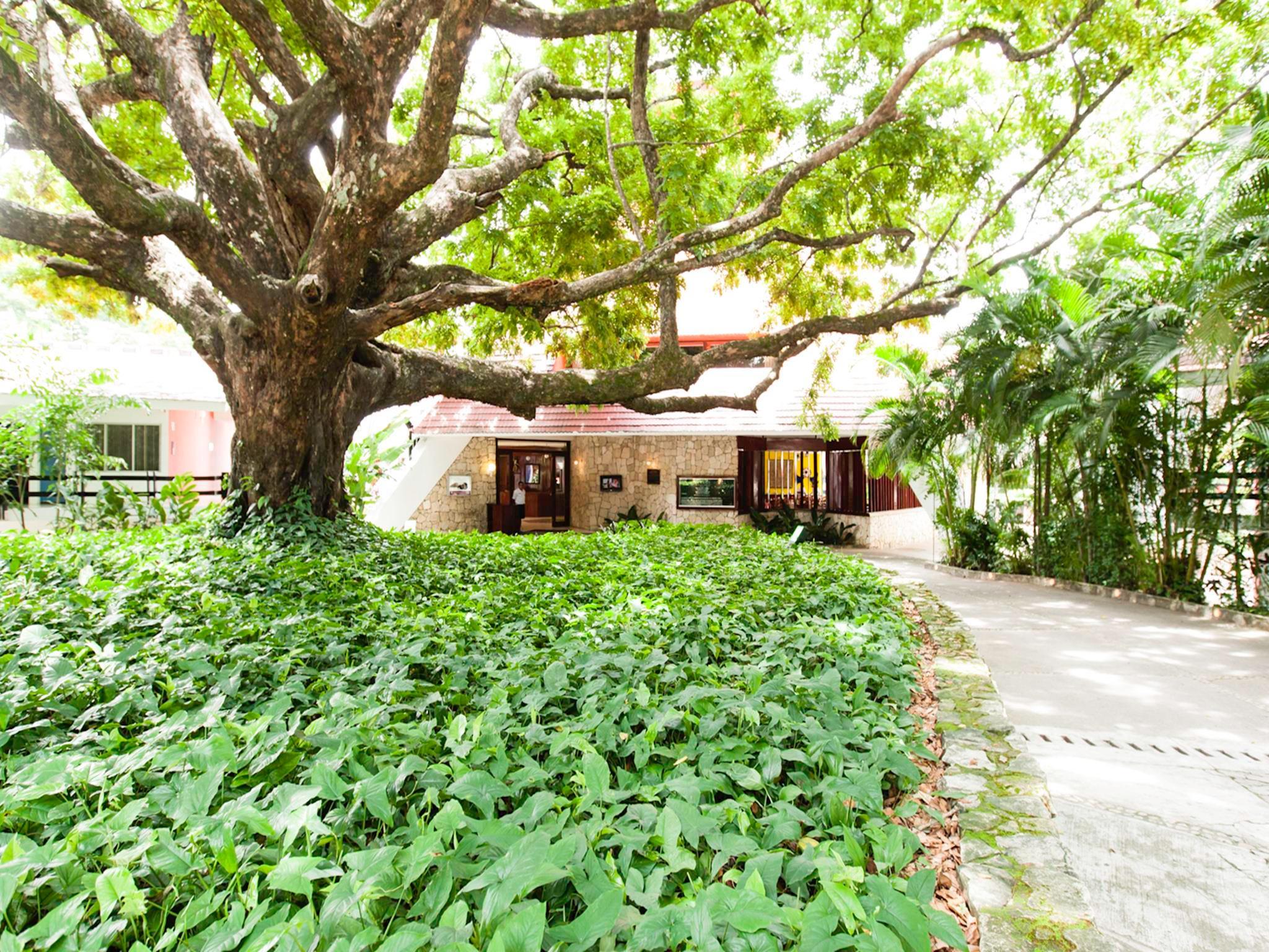 Mision Palenque Hotel Exterior foto